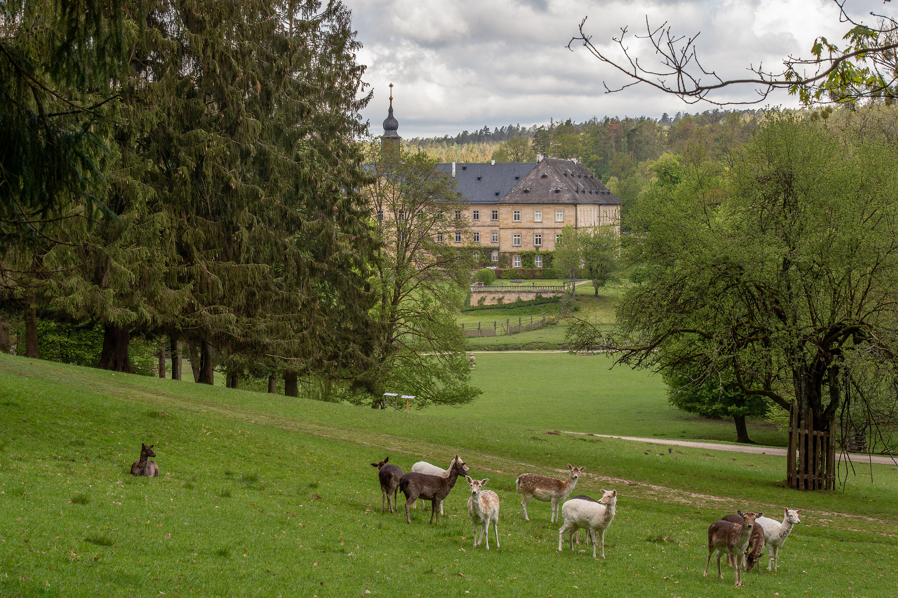 Einzigartige Kombination aus Schlosspark und Tierpark - WildPark ...